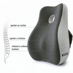 Encosto e Assento Para Apoio Lombar