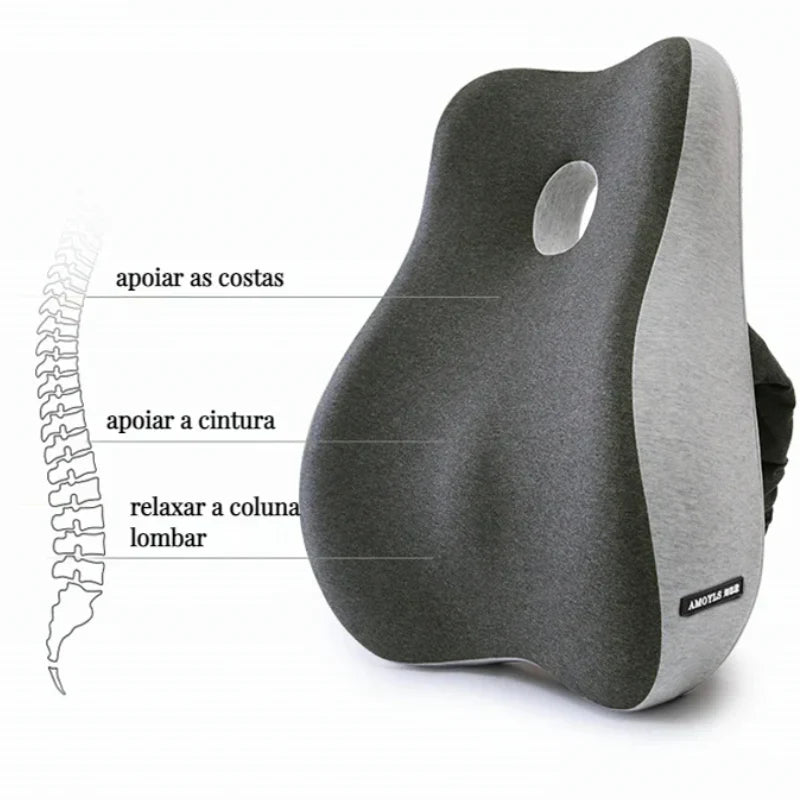 Encosto e Assento Para Apoio Lombar