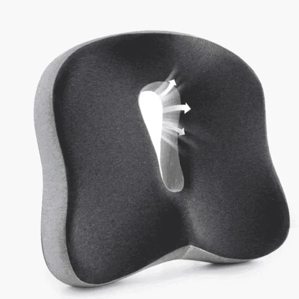 Encosto e Assento Para Apoio Lombar