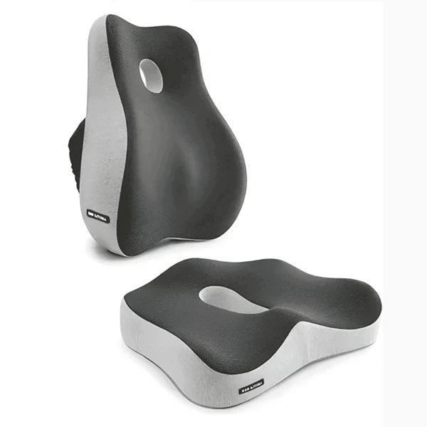 Encosto e Assento Para Apoio Lombar