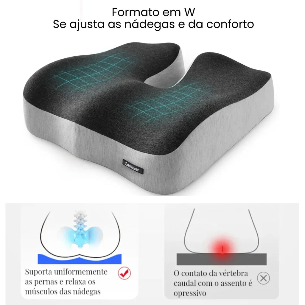 Encosto e Assento Para Apoio Lombar